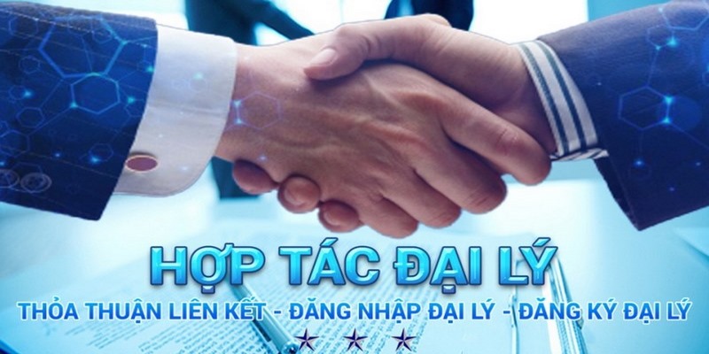 Hướng dẫn đăng ký hợp tác