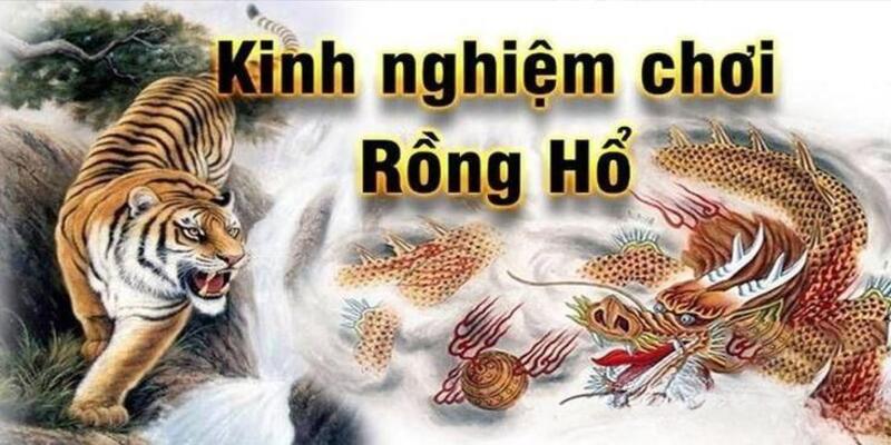 Các kinh nghiệm chơi game Rồng Hổ siêu hiệu quả mà đơn giản