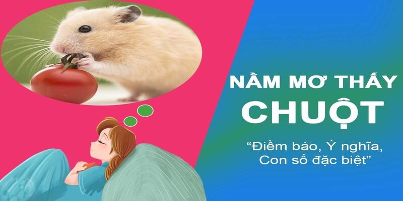 Các con lô mang đến cơ hội đổi đời cho bạn khi ngủ mơ thấy chuột