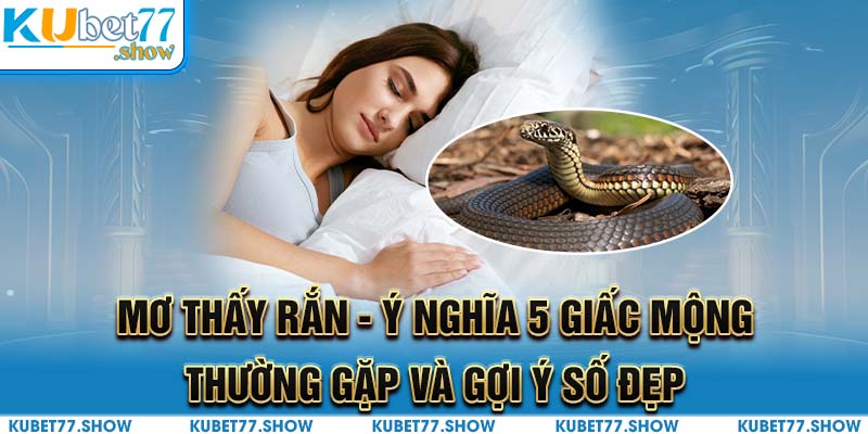 Mơ Thấy Rắn - Ý Nghĩa 5 Giấc Mộng Thường Gặp Và Gợi Ý Số Đẹp