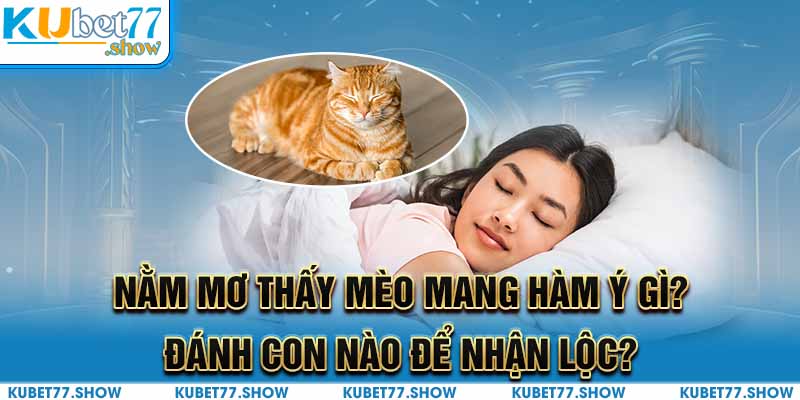 Nằm Mơ Thấy Mèo Mang Hàm Ý Gì? Đánh Con Nào Để Nhận Lộc?