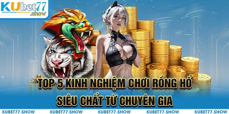 Top 5 Kinh Nghiệm Chơi Rồng Hổ Siêu Chất Từ Chuyên Gia